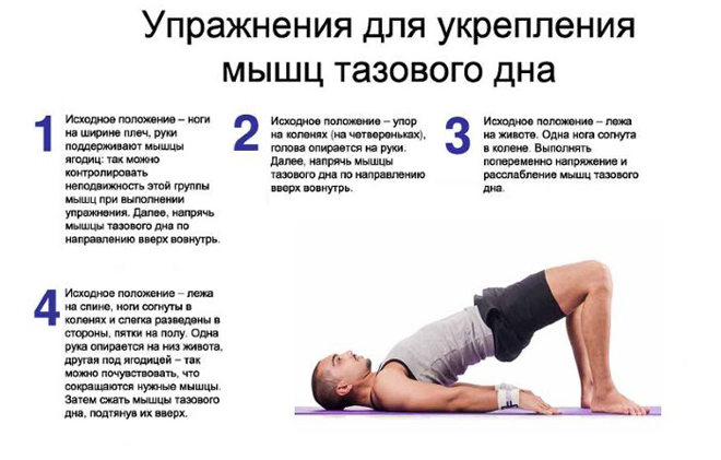 Преимущества занятий по методу профессора